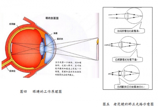 美麗島眼鏡：老花鏡不可隨意亂帶，需要在專業(yè)驗光后科學配制